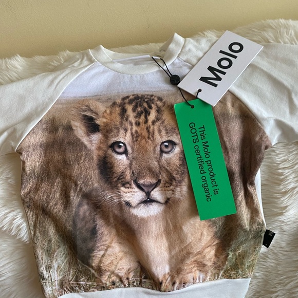 Molo Boy's Esco Lion Cub Graphic Sweatshirt Size 18M Cream, tan, brown - Picture 3 of 8